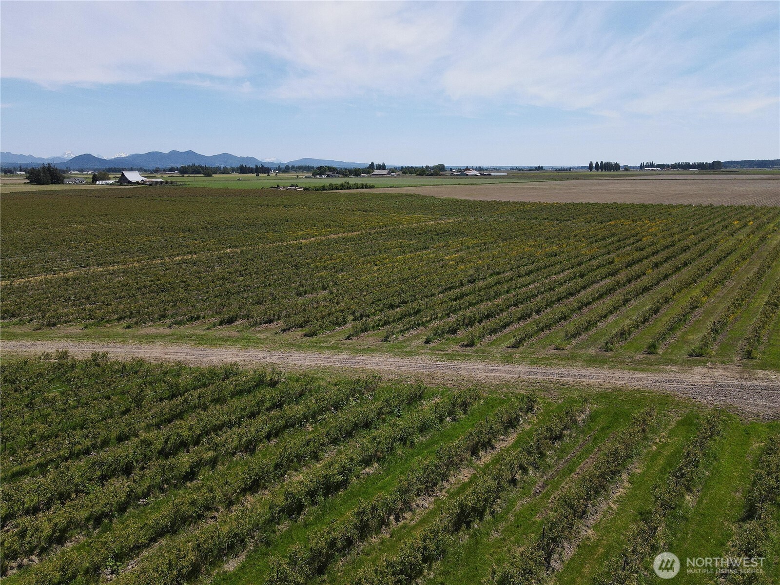 0 Young Road Mount Vernon, WA 98273 - Photo 5 of 9