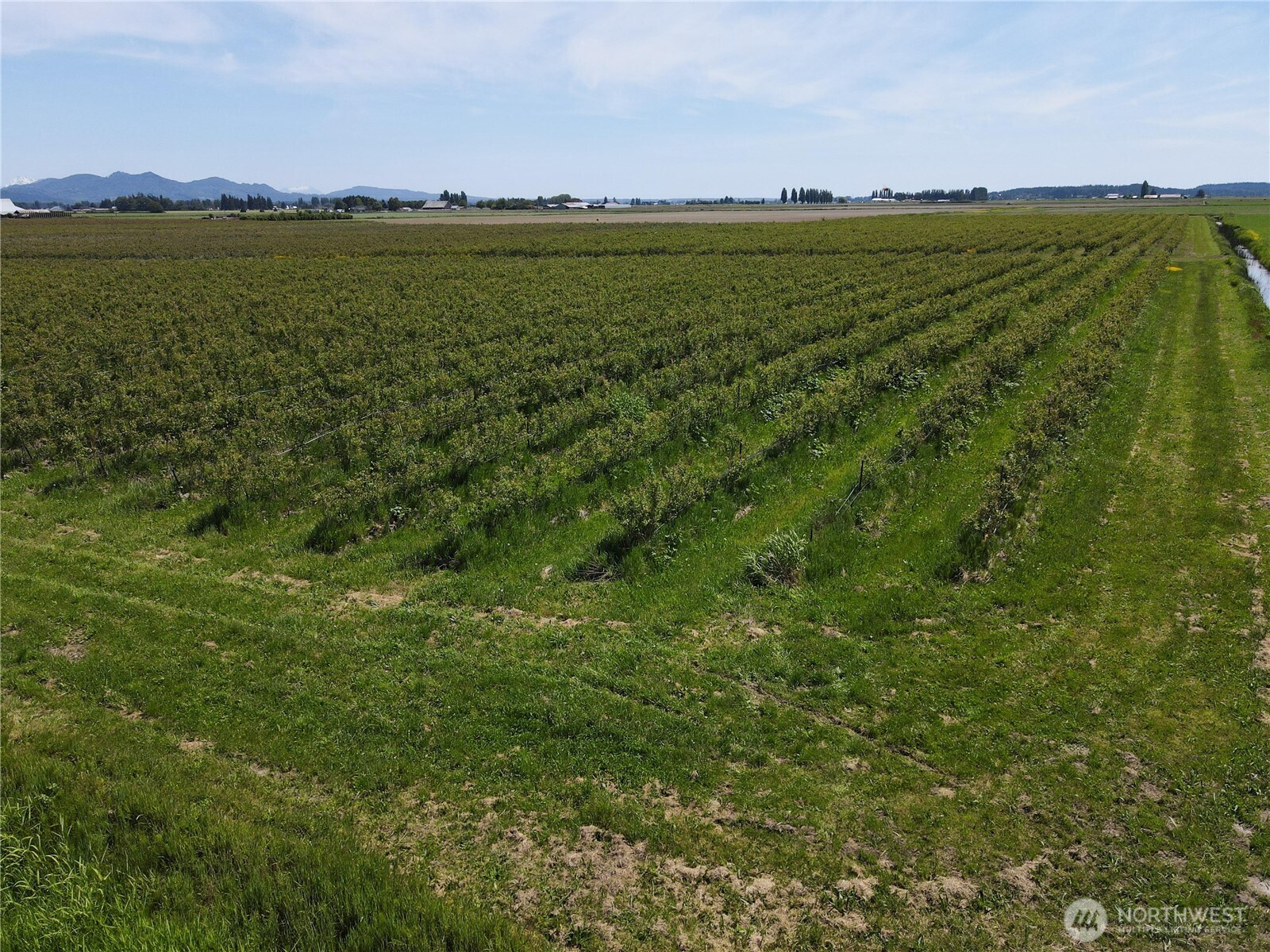 0 Young Road Mount Vernon, WA 98273 - Photo 6 of 9