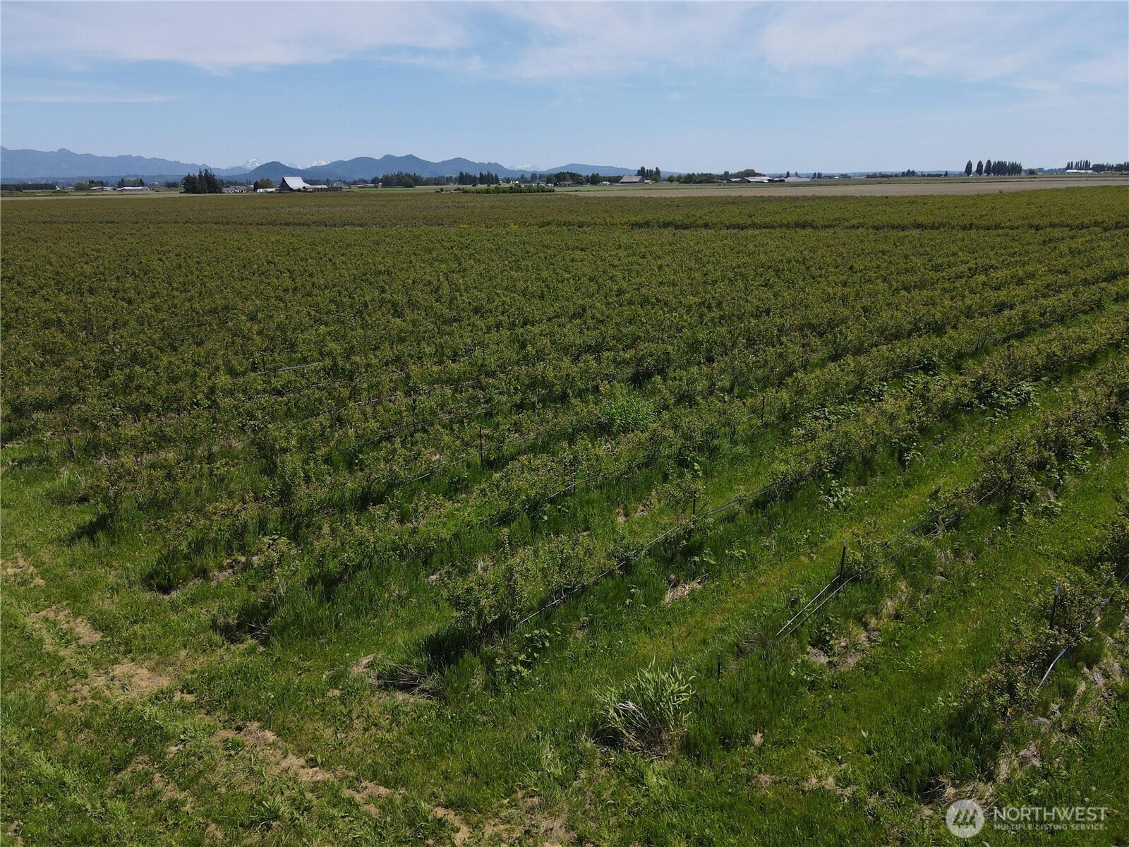 0 Young Road Mount Vernon, WA 98273 - Photo 7 of 9