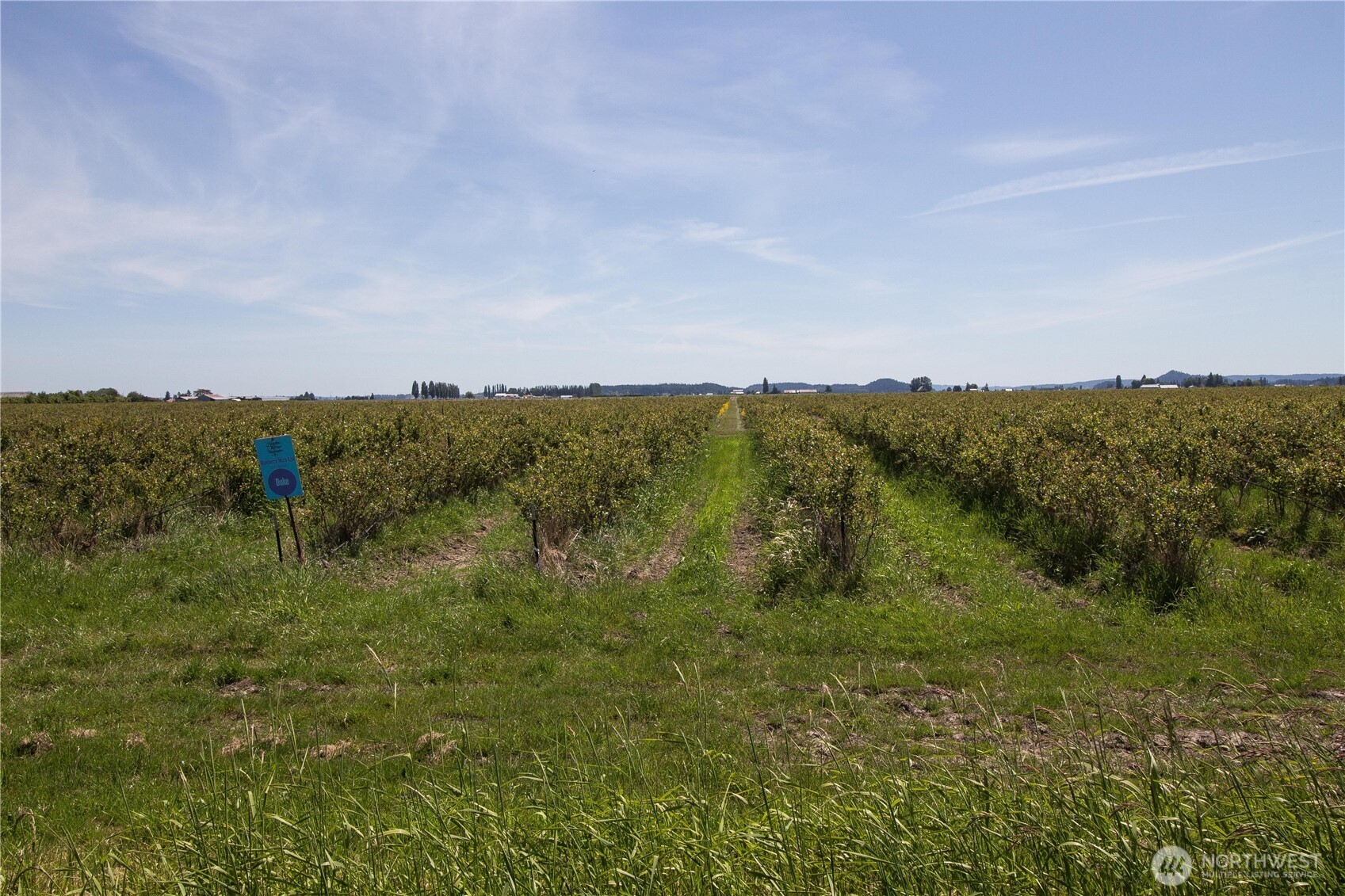 0 Young Road Mount Vernon, WA 98273 - Photo 8 of 9