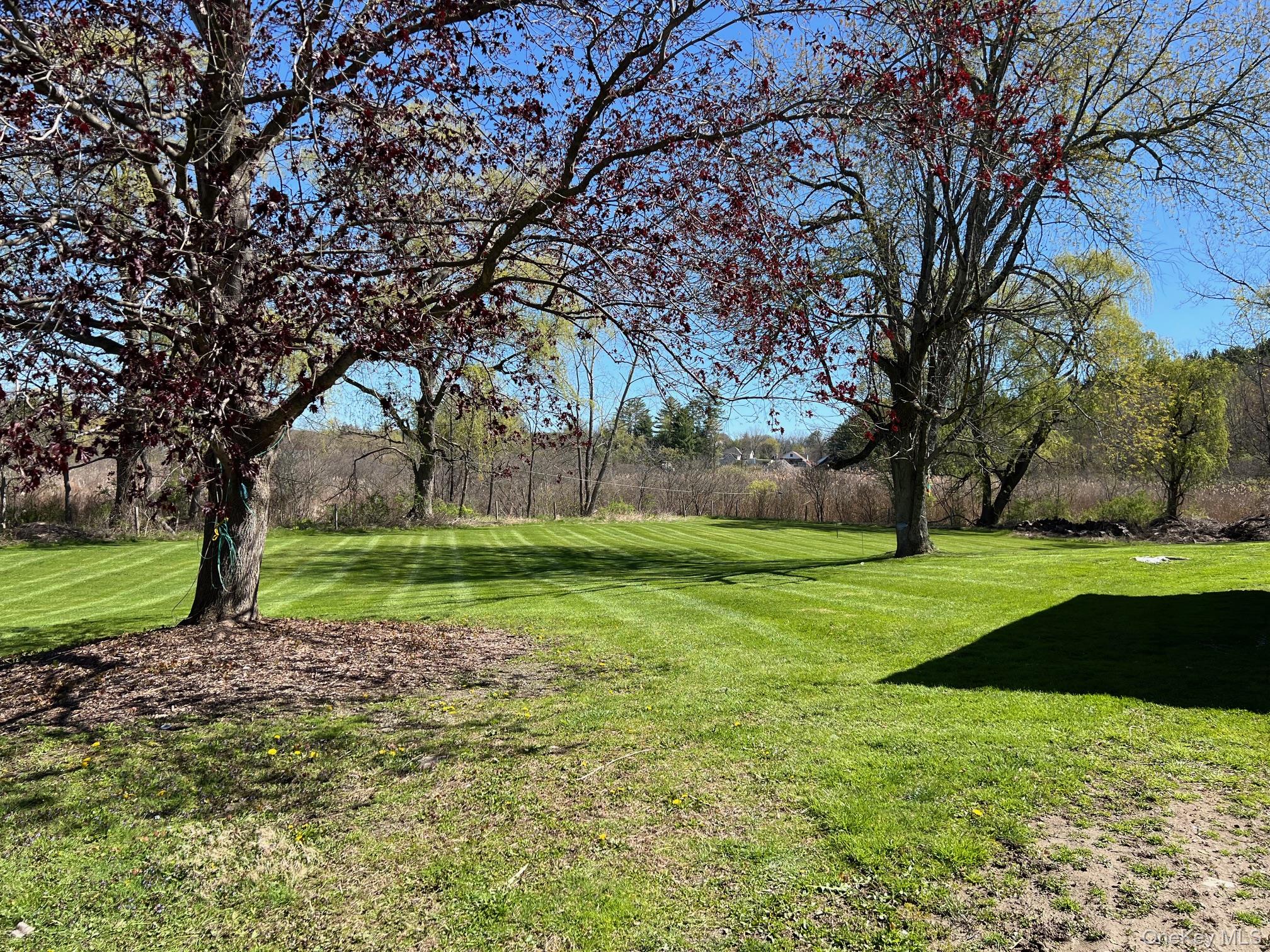 24 Wilson Eaton Road Amenia, NY 12501 - Photo 19 of 20 a view of a yard with tree s