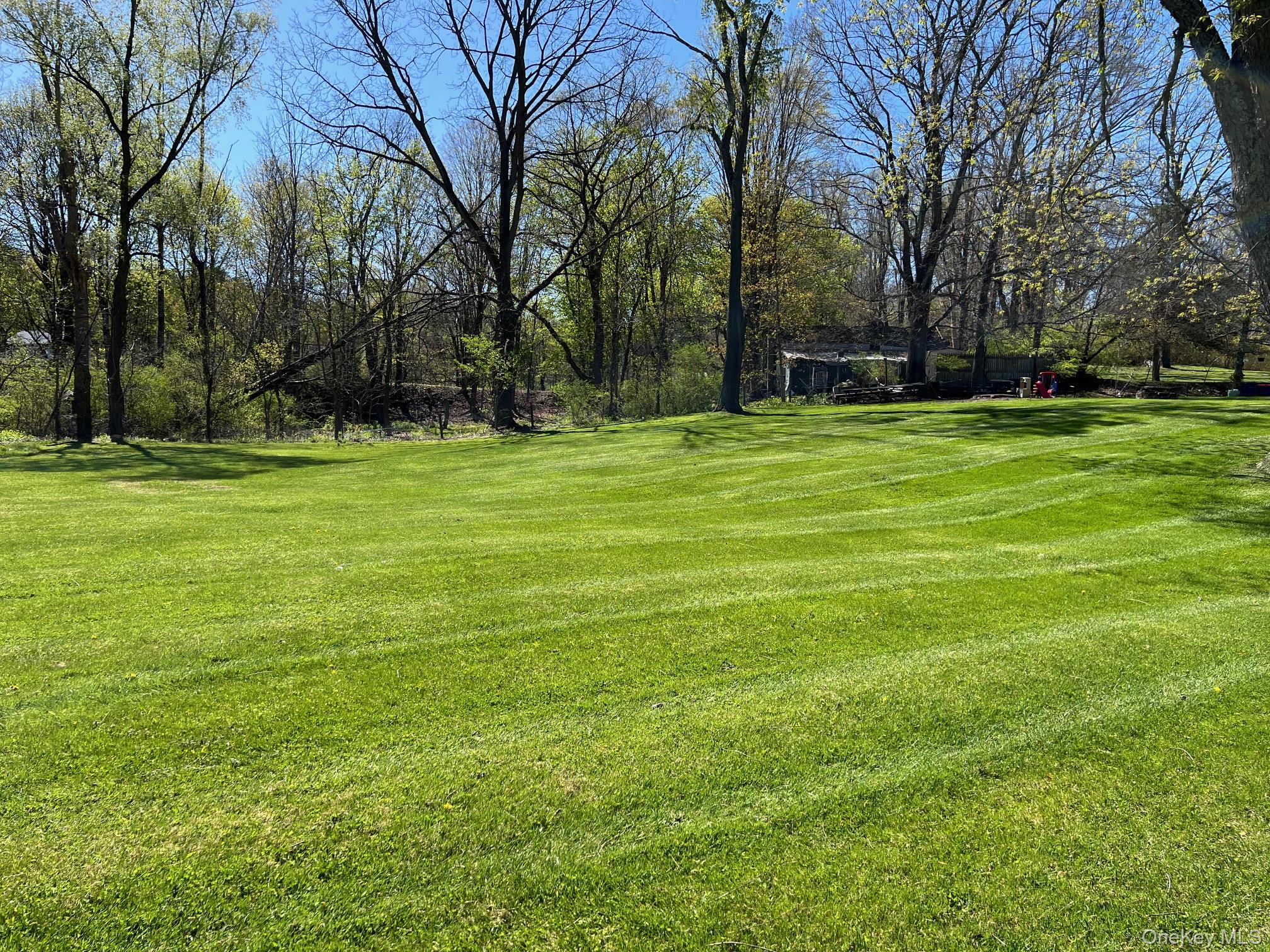 24 Wilson Eaton Road Amenia, NY 12501 - Photo 6 of 20 a view of a park with large trees