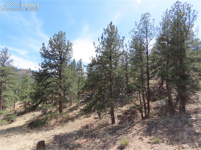 165 West Platte Road Lake George, CO 80827 - Photo 14 of 27