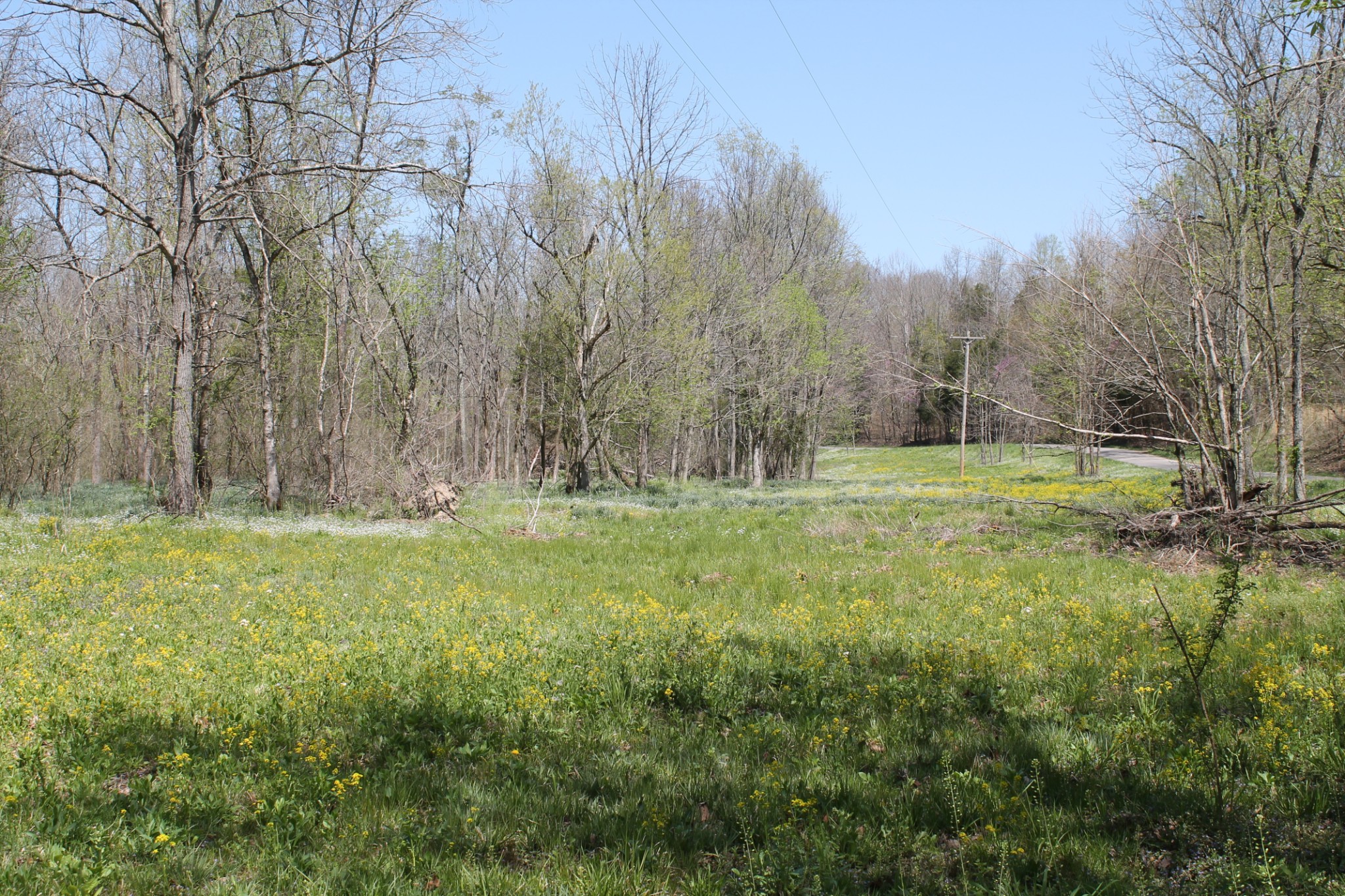 0 Cotton Hollow Road Red Boiling Springs, TN 37150 - Photo 1 of 40 Gallery Image 1