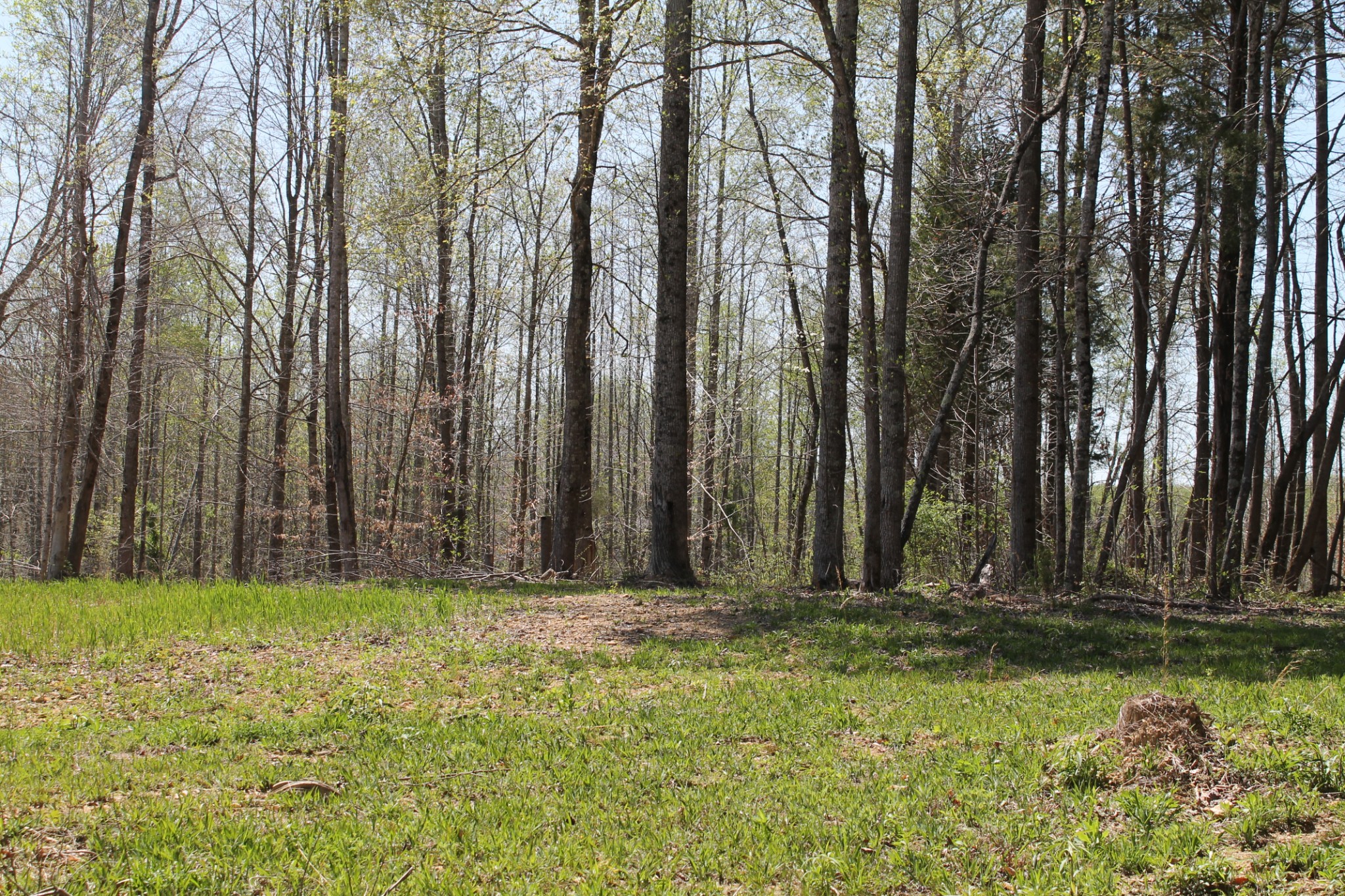 0 Cotton Hollow Road Red Boiling Springs, TN 37150 - Photo 14 of 40 Gallery Image 14