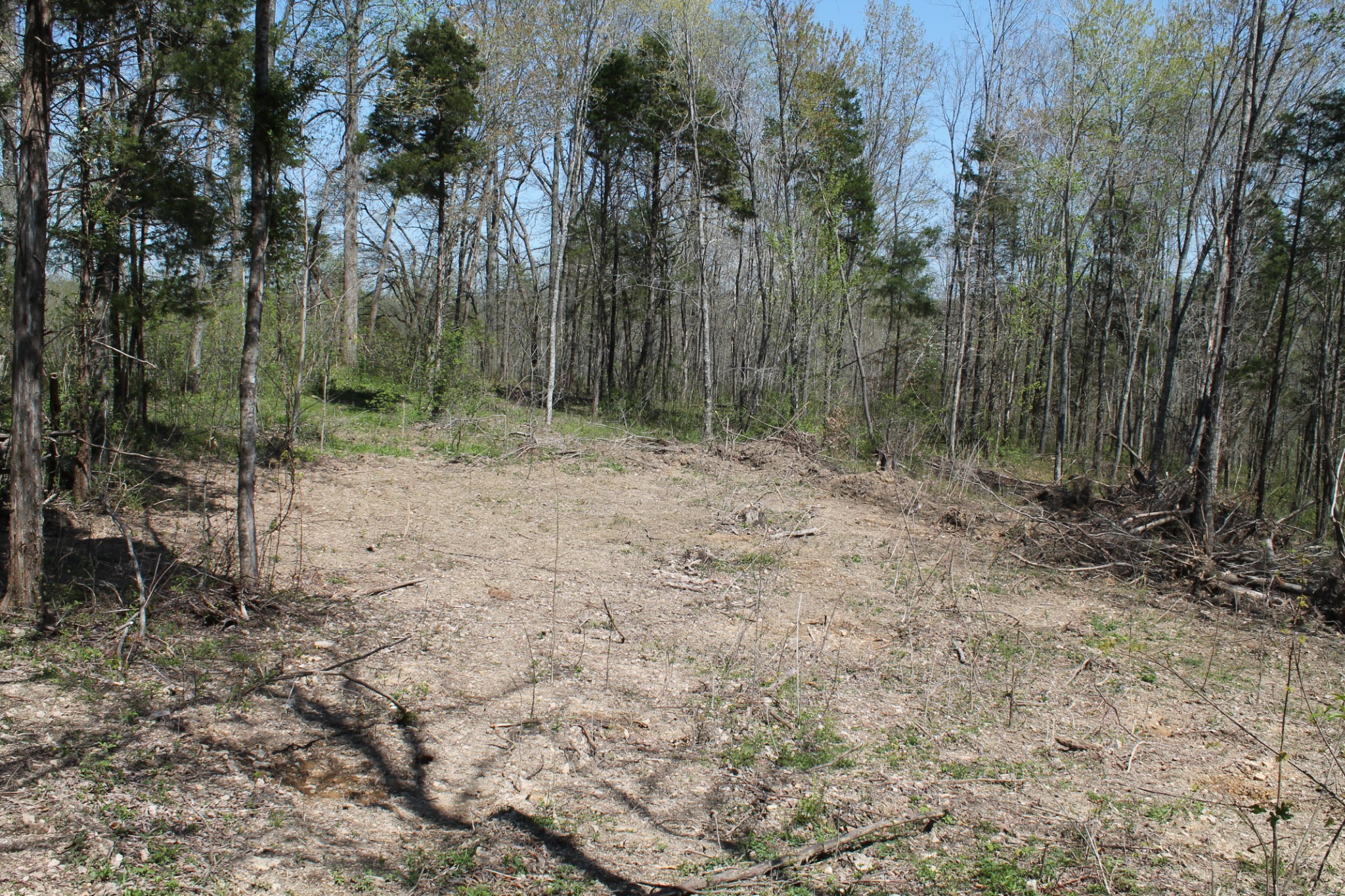 0 Cotton Hollow Road Red Boiling Springs, TN 37150 - Photo 22 of 40 Gallery Image 22