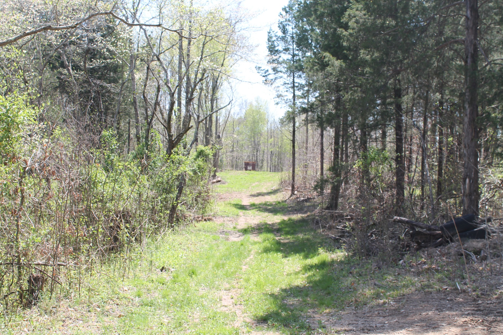 0 Cotton Hollow Road Red Boiling Springs, TN 37150 - Photo 23 of 40 Gallery Image 23