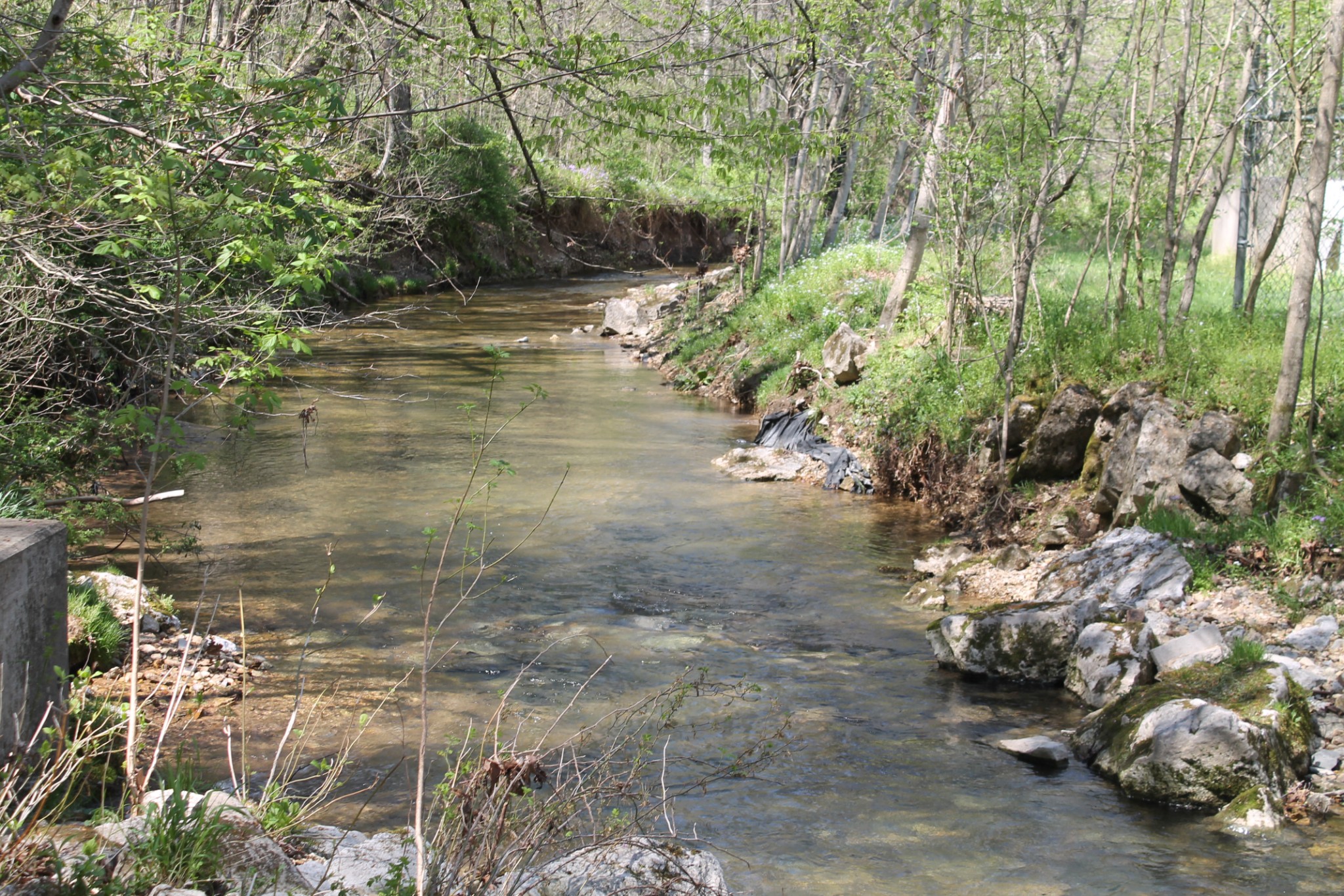 0 Cotton Hollow Road Red Boiling Springs, TN 37150 - Photo 40 of 40 Gallery Image 40