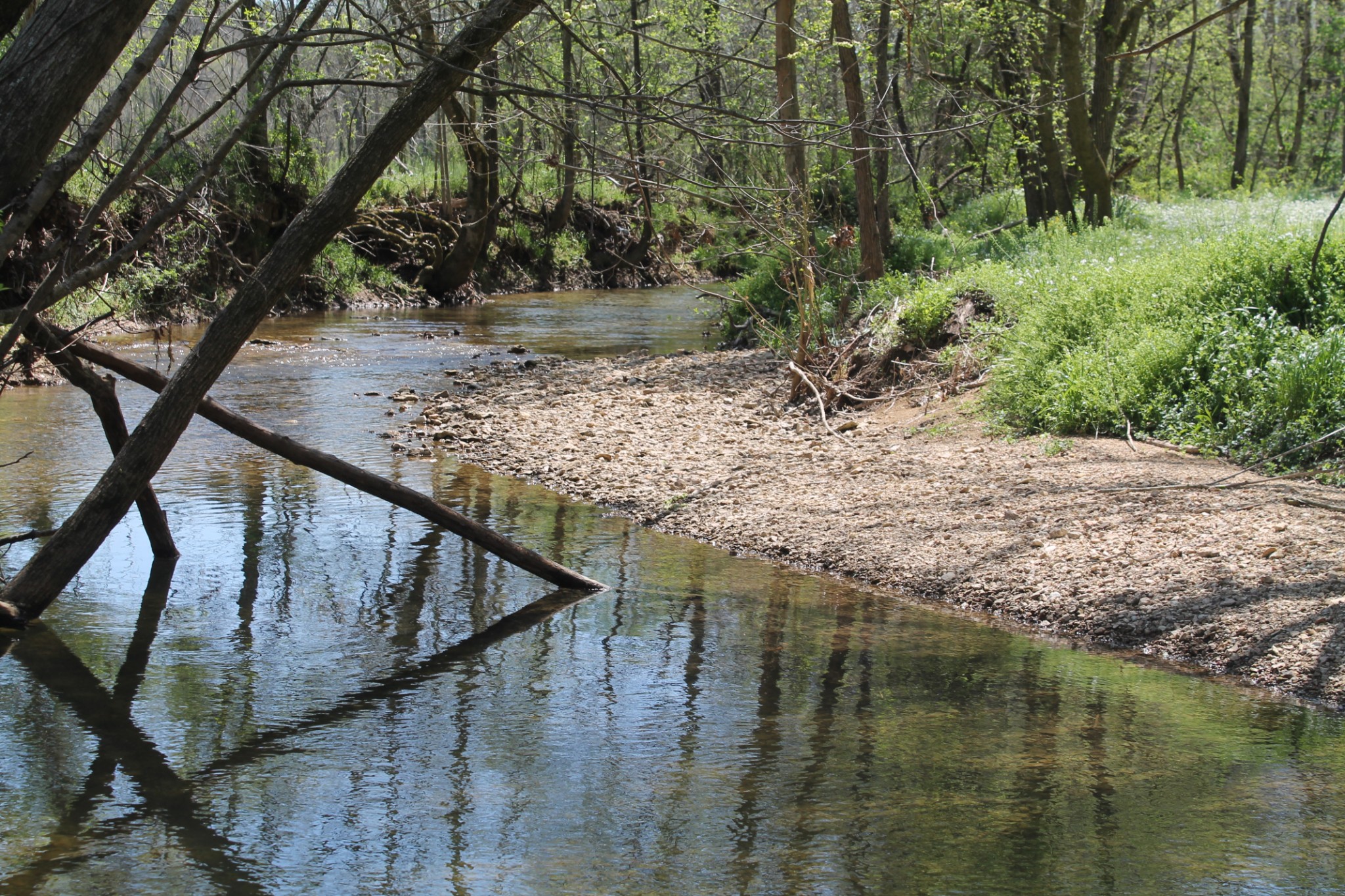 0 Cotton Hollow Road Red Boiling Springs, TN 37150 - Photo 5 of 40 Gallery Image 5