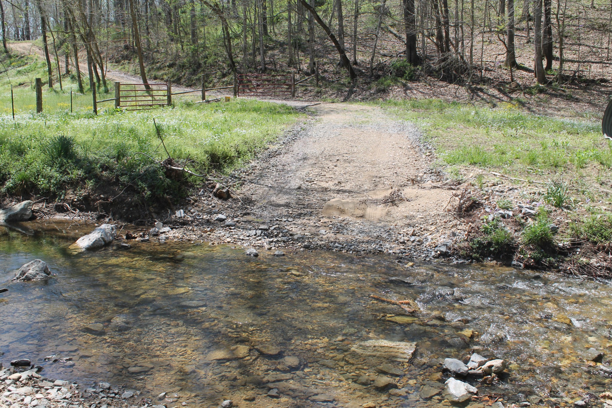 0 Cotton Hollow Road Red Boiling Springs, TN 37150 - Photo 6 of 40 Gallery Image 6
