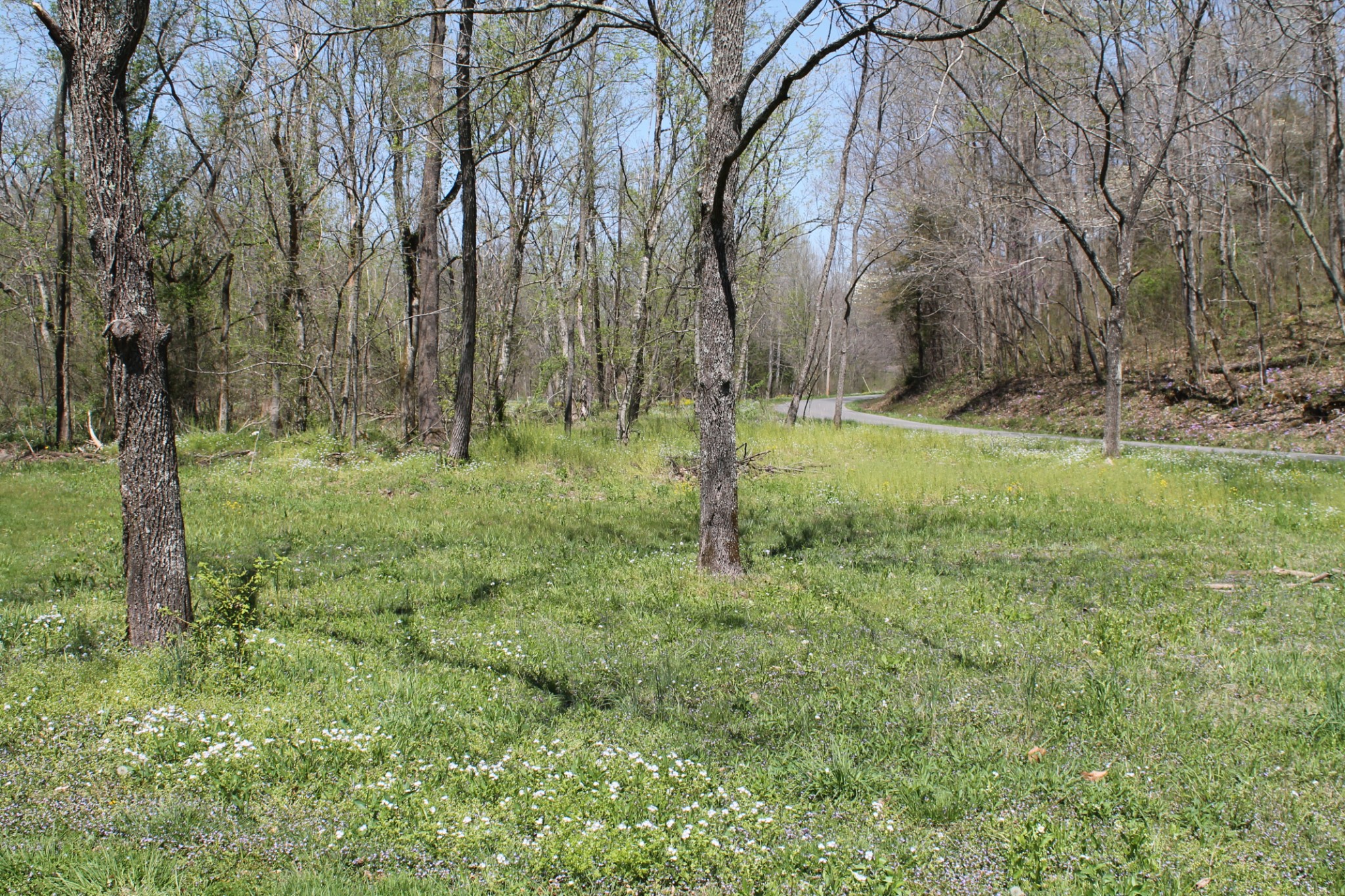 0 Cotton Hollow Road Red Boiling Springs, TN 37150 - Photo 7 of 40 Gallery Image 7