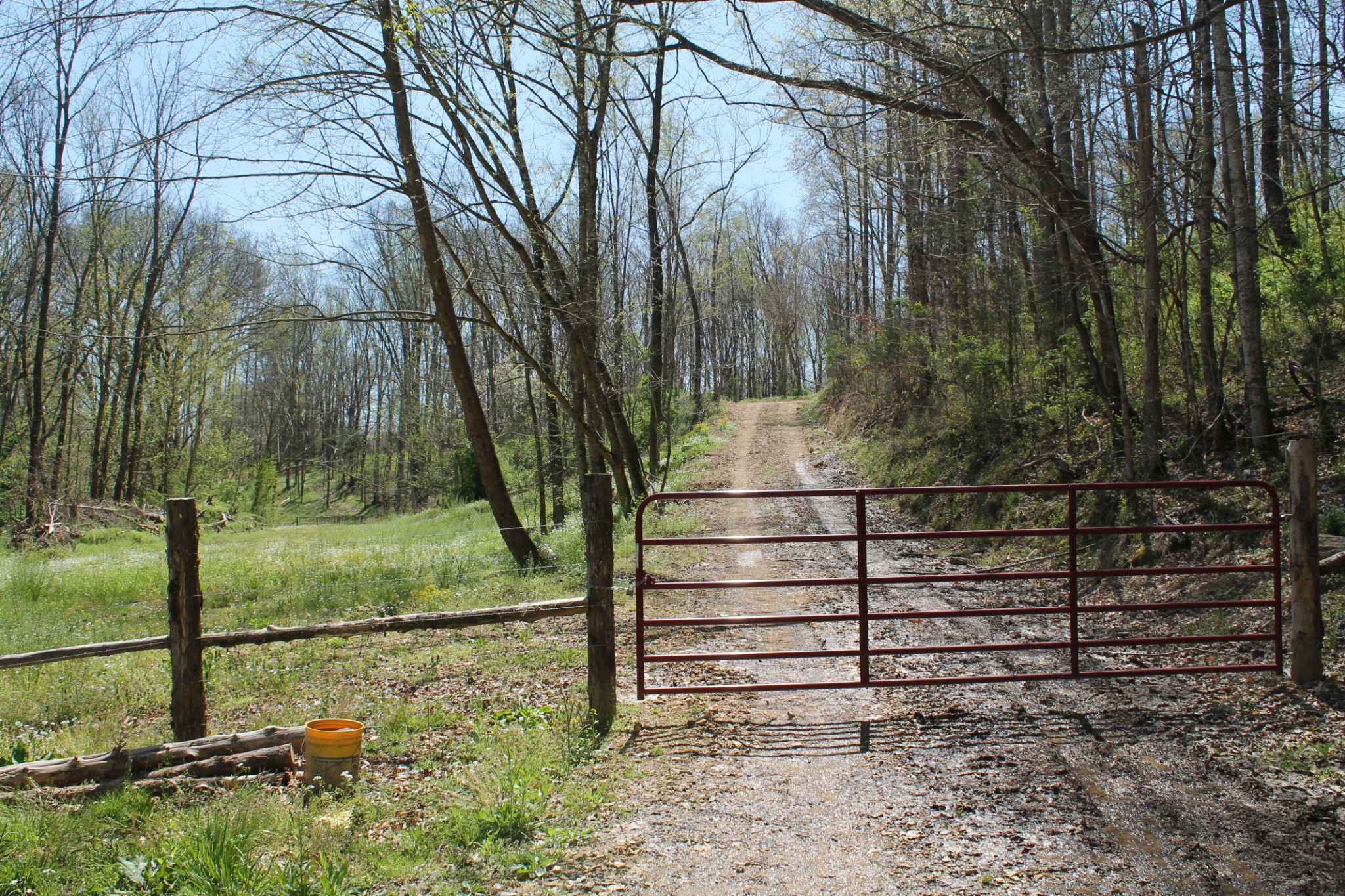 0 Cotton Hollow Road Red Boiling Springs, TN 37150 - Photo 8 of 40 Gallery Image 8