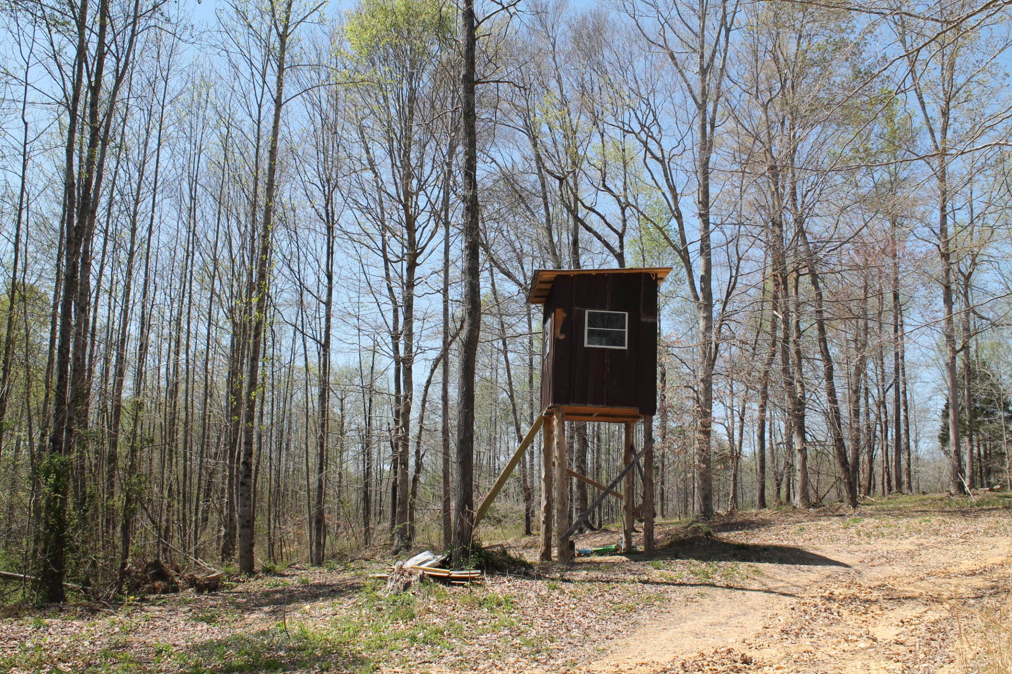 0 Cotton Hollow Road Red Boiling Springs, TN 37150 - Photo 9 of 40 Gallery Image 9