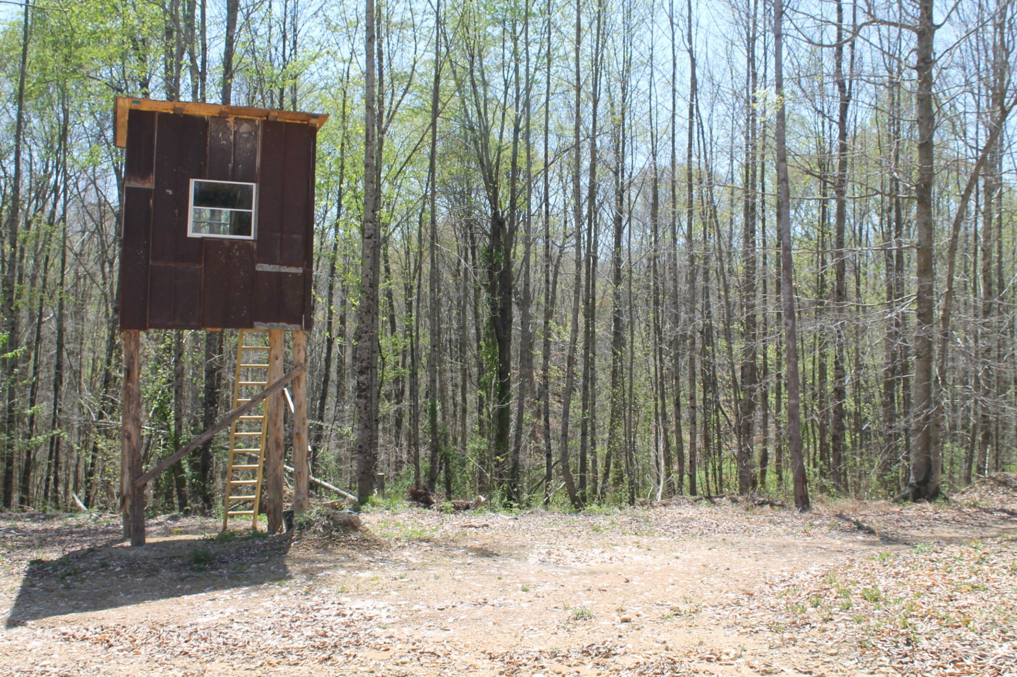 0 Cotton Hollow Road Red Boiling Springs, TN 37150 - Photo 10 of 40 Gallery Image 10