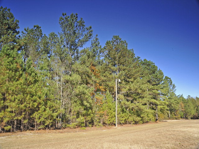 276 Coleman Bridge Road Aiken, SC 29805 - Photo 3 of 5