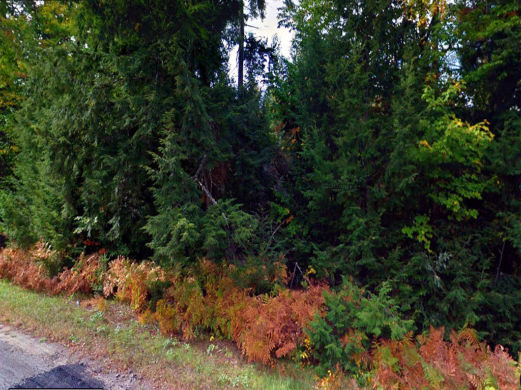 Lot 5 Route 171 Road Wytopitlock, ME 04497 - Photo 4 of 29 drew-land-me-kozowyk-4