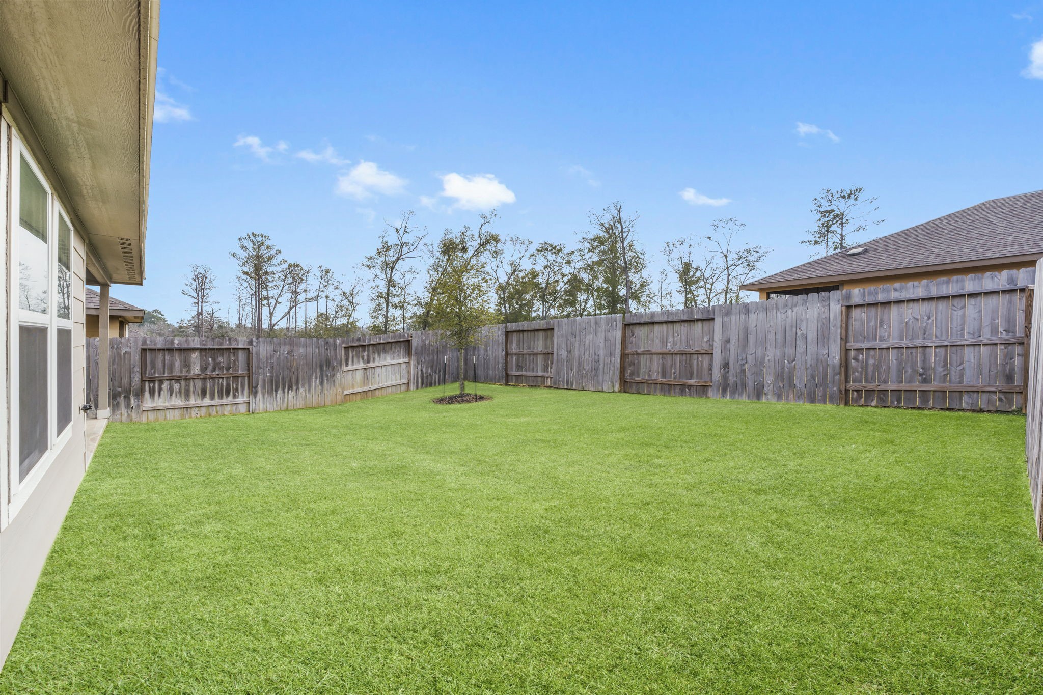 18581 Meadow Point Lane Montgomery, TX 77316 - Photo 30 of 44 a view of a backyard with palm tree