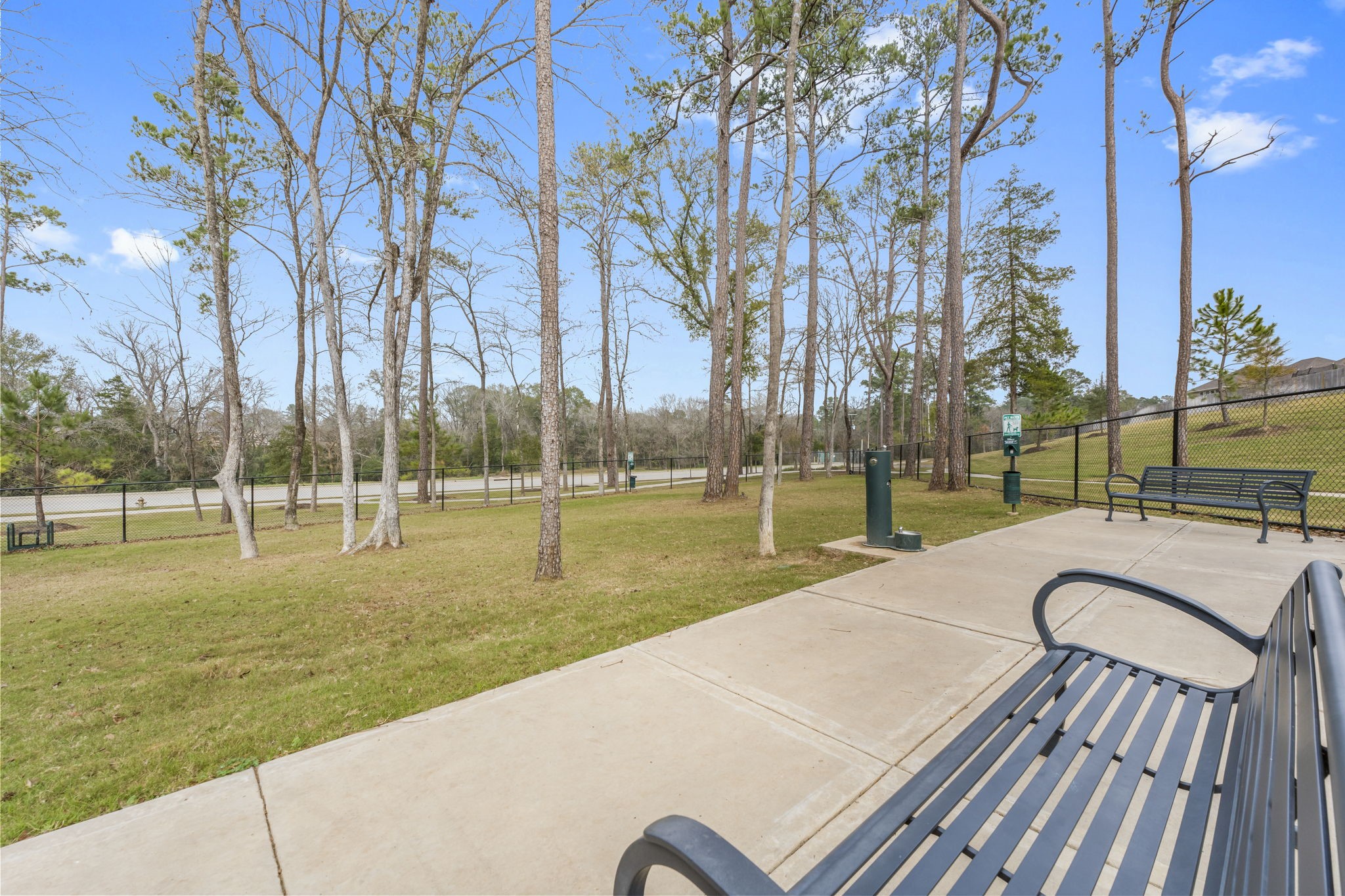 18581 Meadow Point Lane Montgomery, TX 77316 - Photo 41 of 44 a view of a swimming pool with a patio and a yard