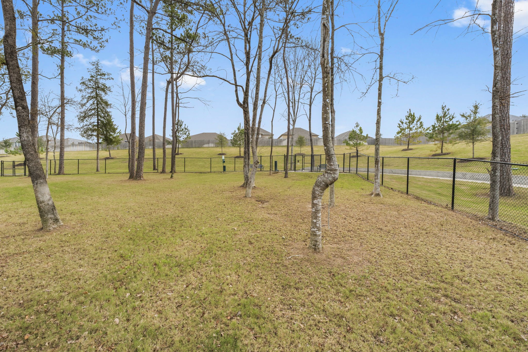 18581 Meadow Point Lane Montgomery, TX 77316 - Photo 42 of 44 Large dog park!