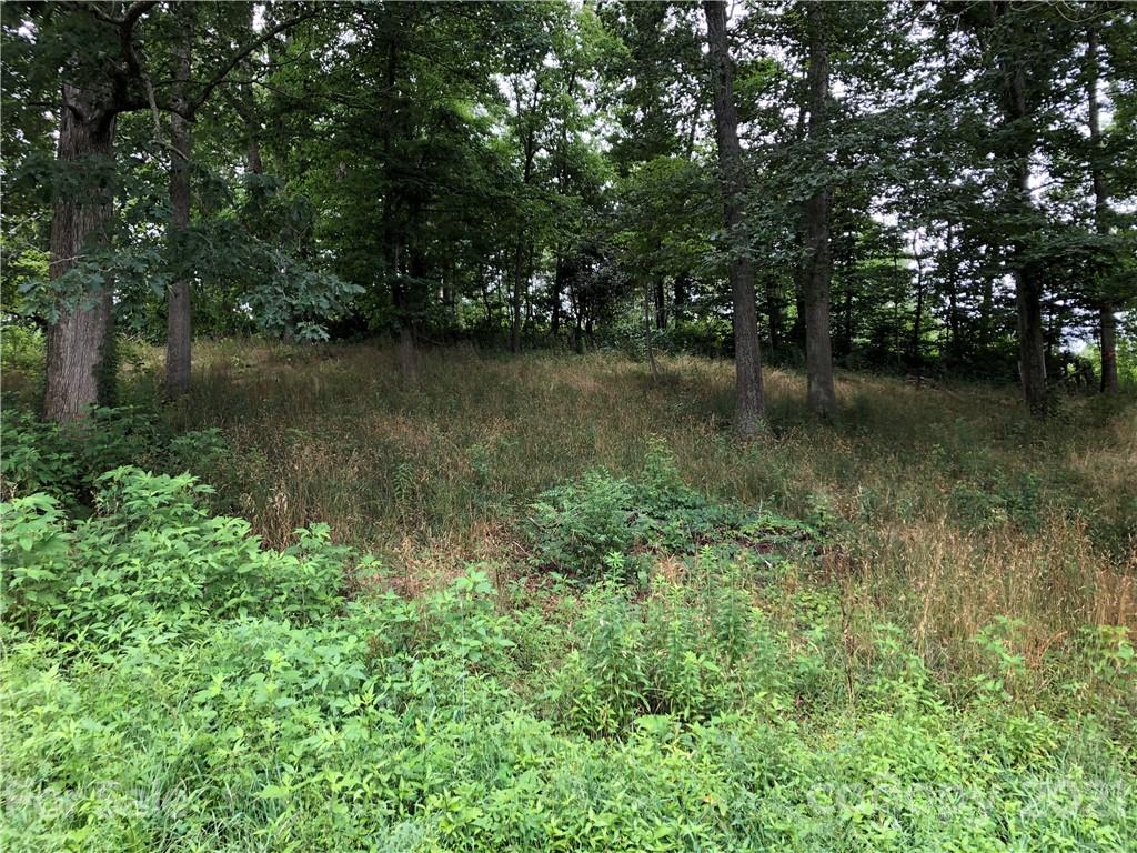 0 Thompson Cove Road, Unit 2 Clyde, NC 28721 - Photo 2 of 25 a view of lake with green space