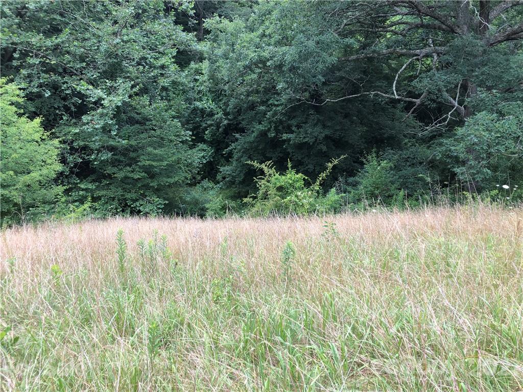 0 Thompson Cove Road, Unit 2 Clyde, NC 28721 - Photo 17 of 25 a view of lake with a green space