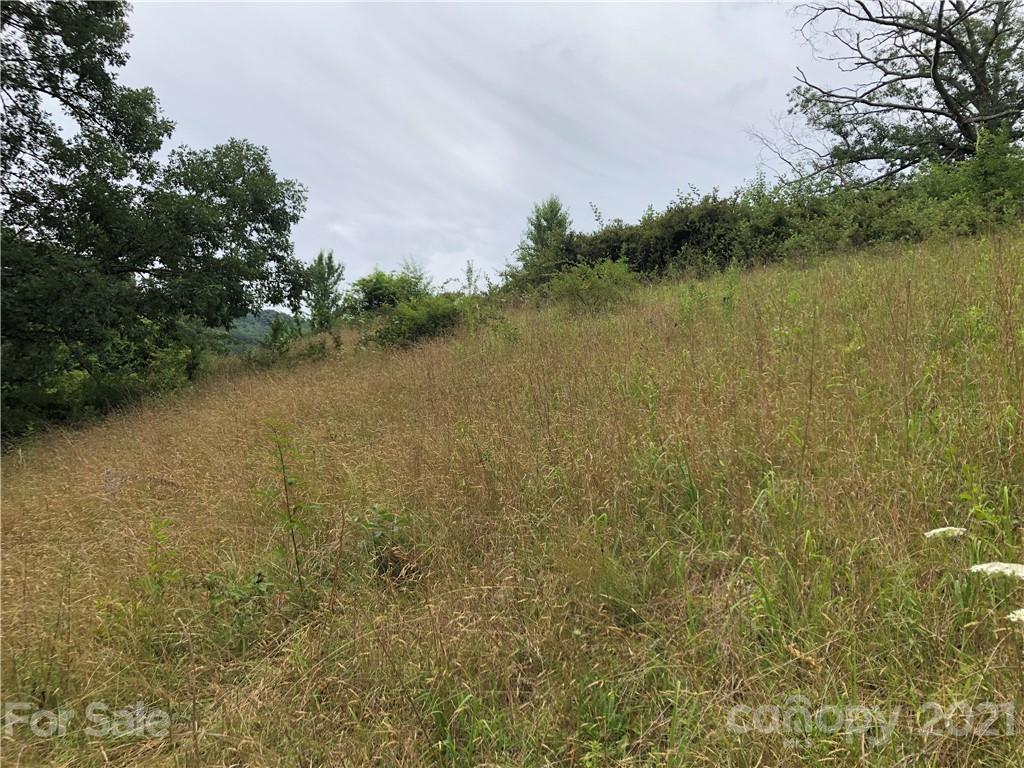 0 Thompson Cove Road, Unit 2 Clyde, NC 28721 - Photo 18 of 25