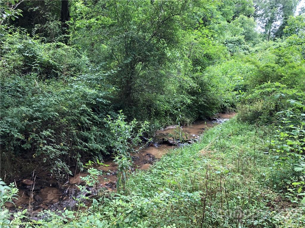 0 Thompson Cove Road, Unit 2 Clyde, NC 28721 - Photo 20 of 25 a view of a lush green forest with lots of trees