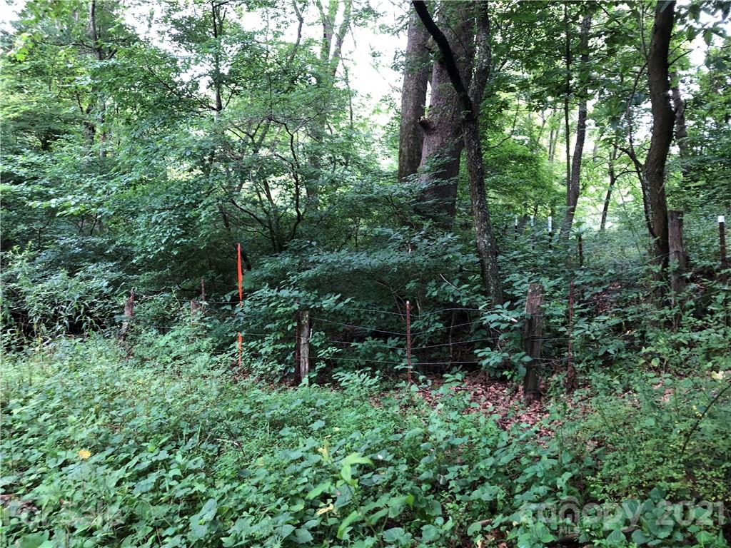 0 Thompson Cove Road, Unit 2 Clyde, NC 28721 - Photo 21 of 25 a view of outdoor space and green space