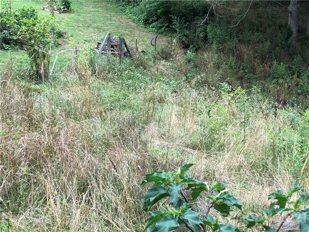 0 Thompson Cove Road, Unit 2 Clyde, NC 28721 - Photo 25 of 25 a view of a lush green forest