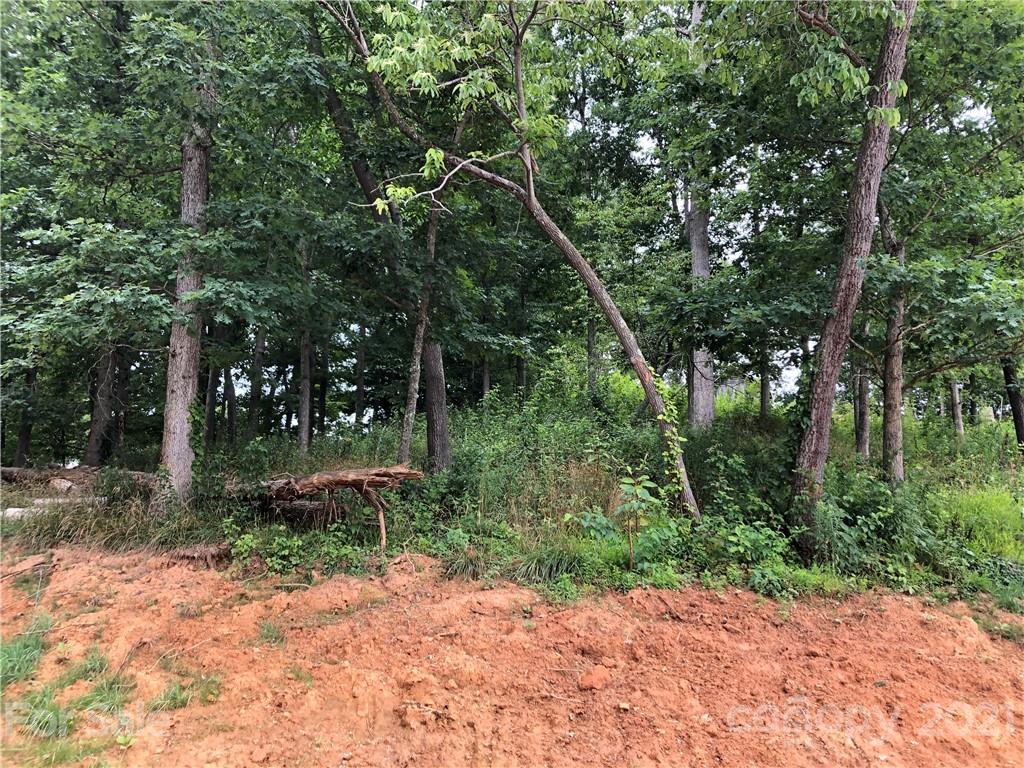 0 Thompson Cove Road, Unit 2 Clyde, NC 28721 - Photo 5 of 25 a view of backyard with green space