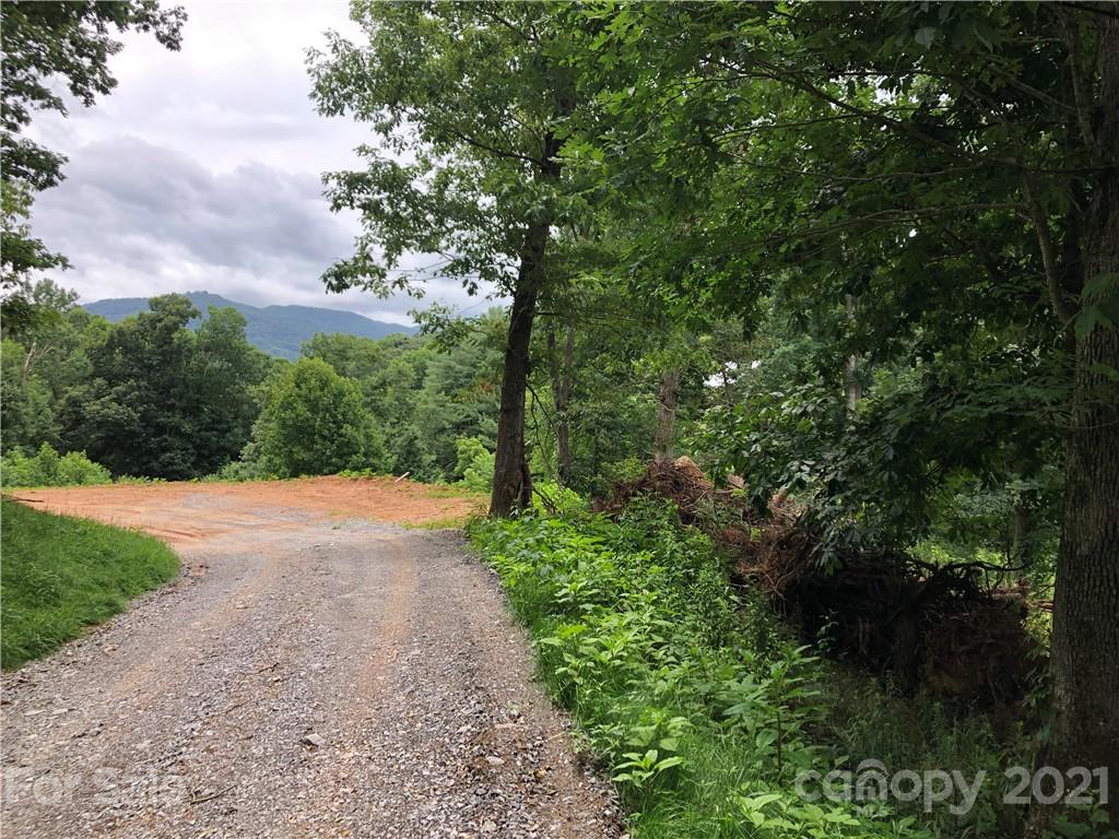 0 Thompson Cove Road, Unit 2 Clyde, NC 28721 - Photo 6 of 25 a view of a yard with plants and a large tree