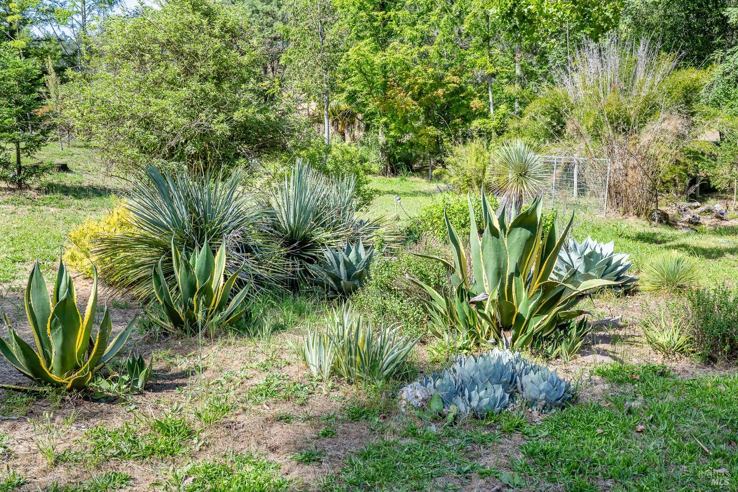 6662 St Helena Road Santa Rosa, CA 95404 - Photo 45 of 51
