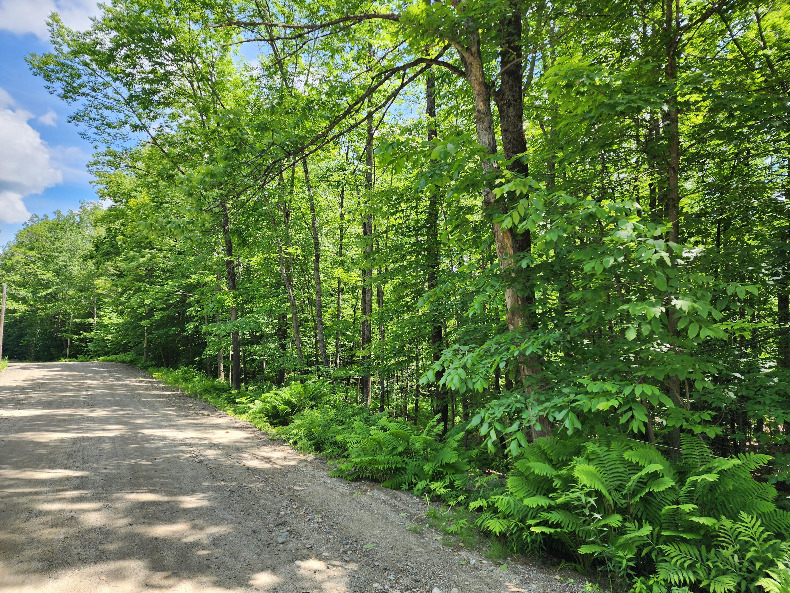 Lot 12 Canton Mountain Road Jay, ME 04239 - Photo 6 of 7 From Canton Mountain Rd.