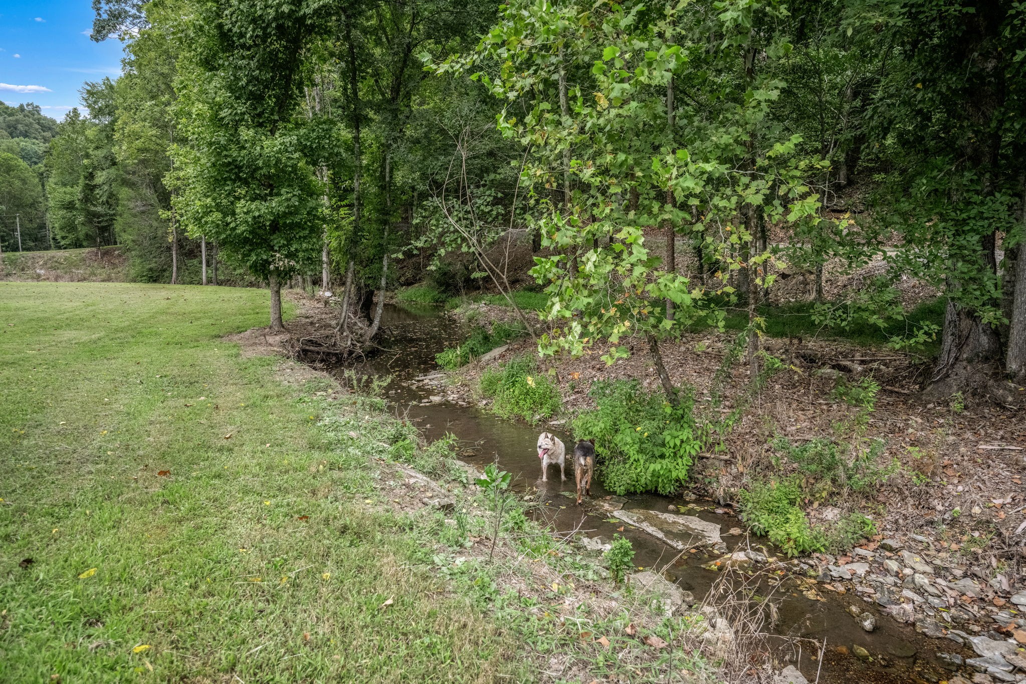615 Carr Creek Road Normandy, TN 37360 - Photo 46 of 57 Gallery Image 46