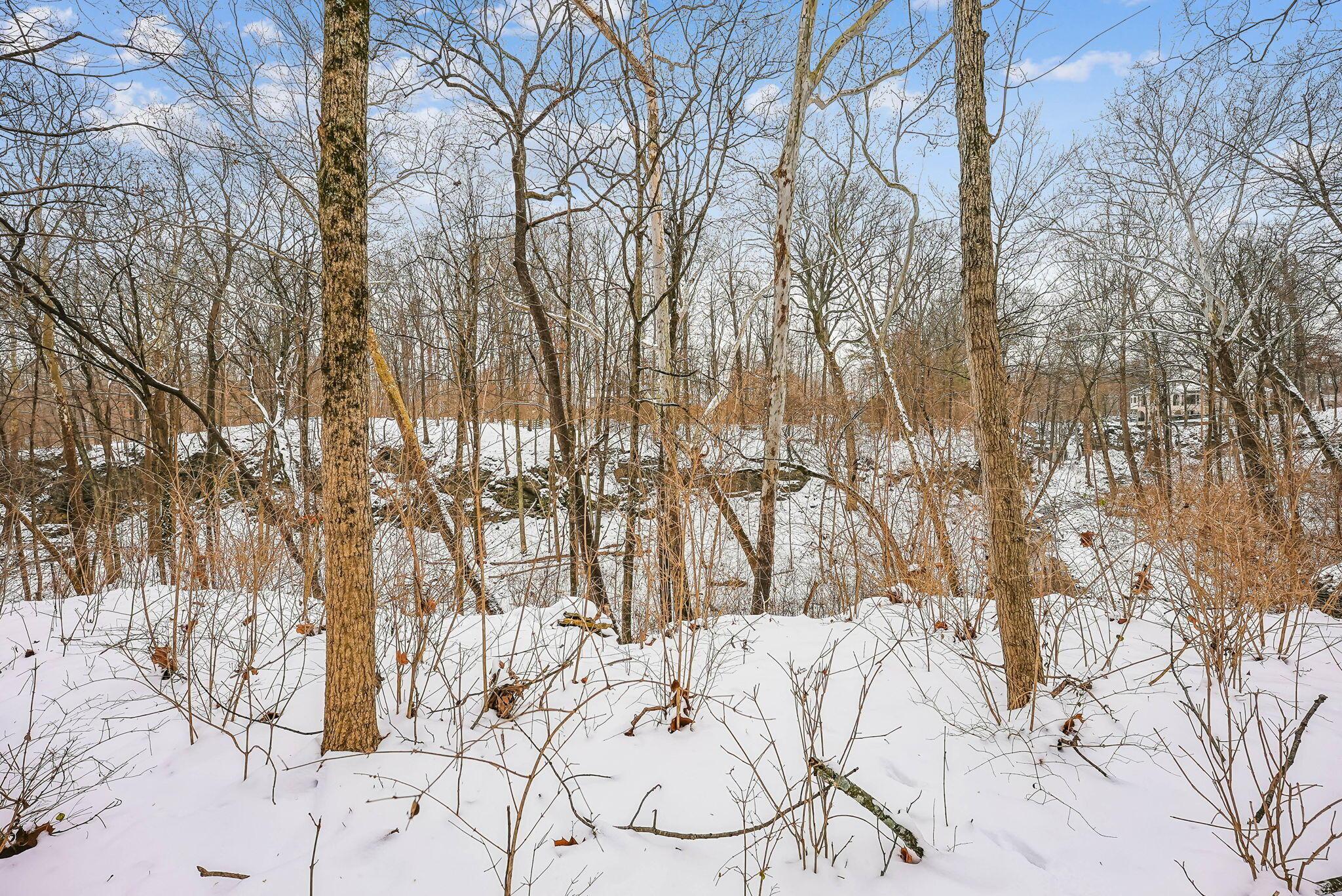 4800 Deer Run Road Dublin, OH 43017 - Photo 17 of 36 18-web-or-mls-4800-deer-run-rd