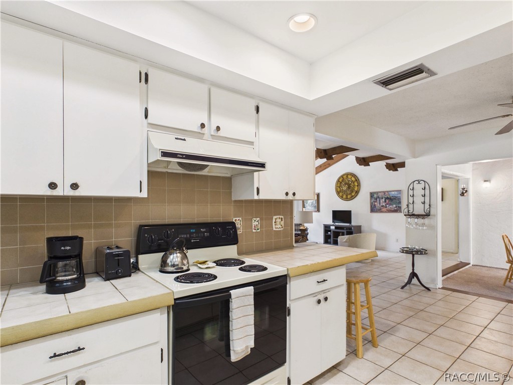5 Pinewood Green Homosassa, FL 34446 - Photo 18 of 44 KITCHEN 4