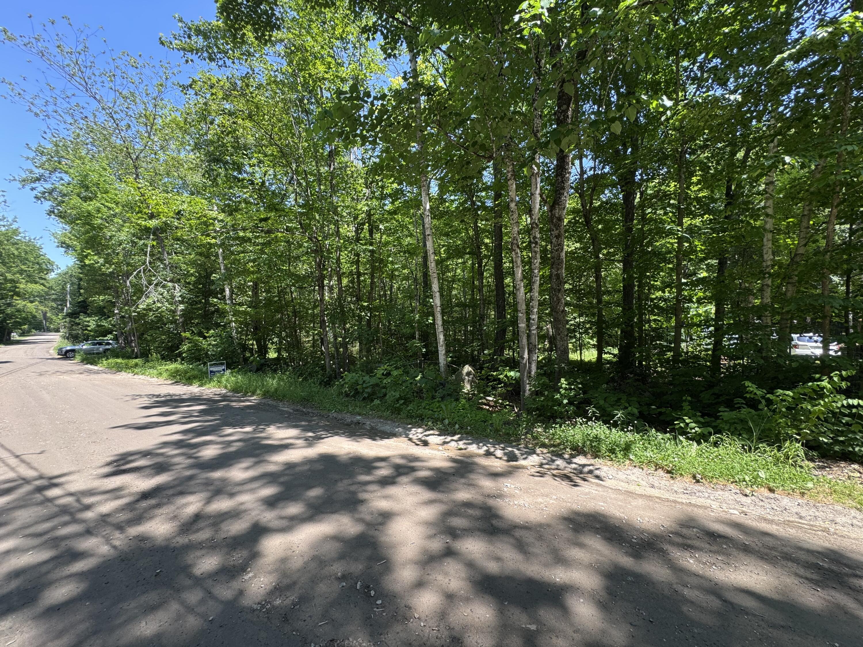 Lot 19 Thomas Pond Shore Road Casco, ME 04015 - Photo 4 of 9