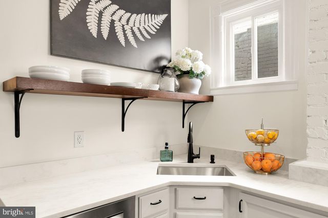a kitchen with a sink and a potted plant on the dresser