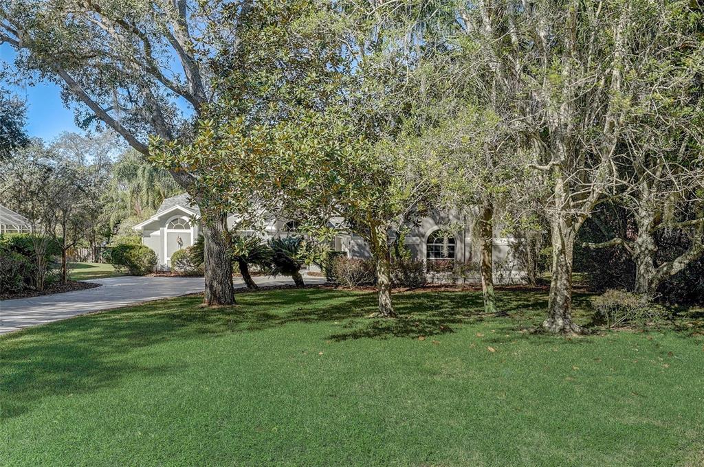 4411 Rachel Boulevard Spring Hill, FL 34607 - Photo 1 of 1 Gallery Image 1