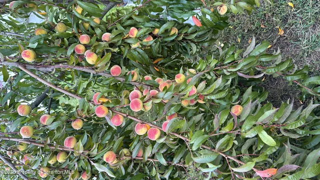 a picture of a bench in front of a wall