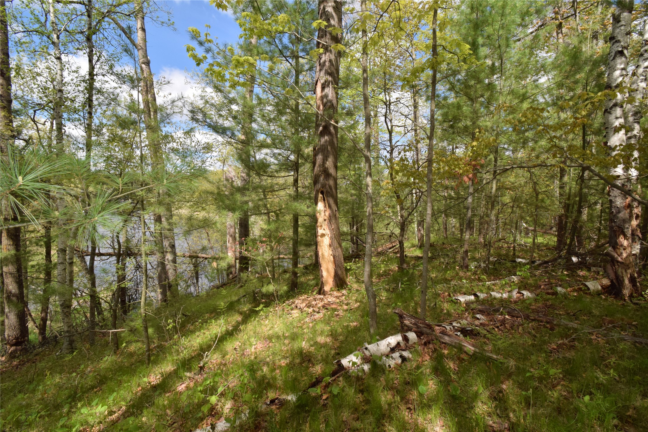 25383 Mansfield Road Webster, WI 54893 - Photo 9 of 36