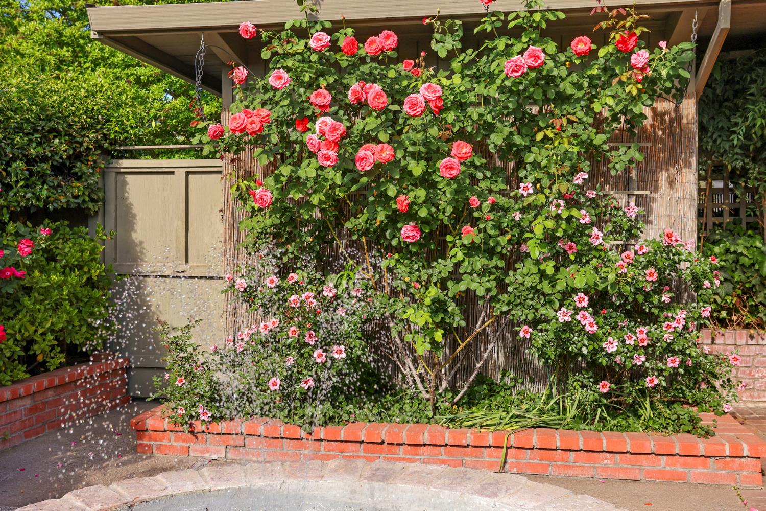 1912 Douglas Road Stockton, CA 95207 - Photo 34 of 45