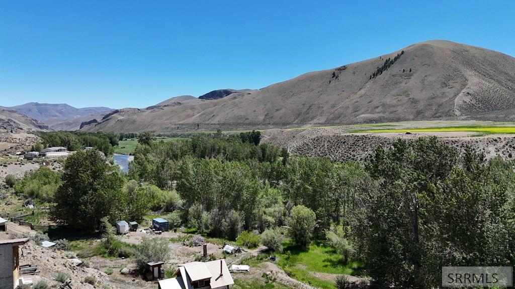 Tbd East Tbd E Fork Road Clayton, ID 83227 - Photo 3 of 28