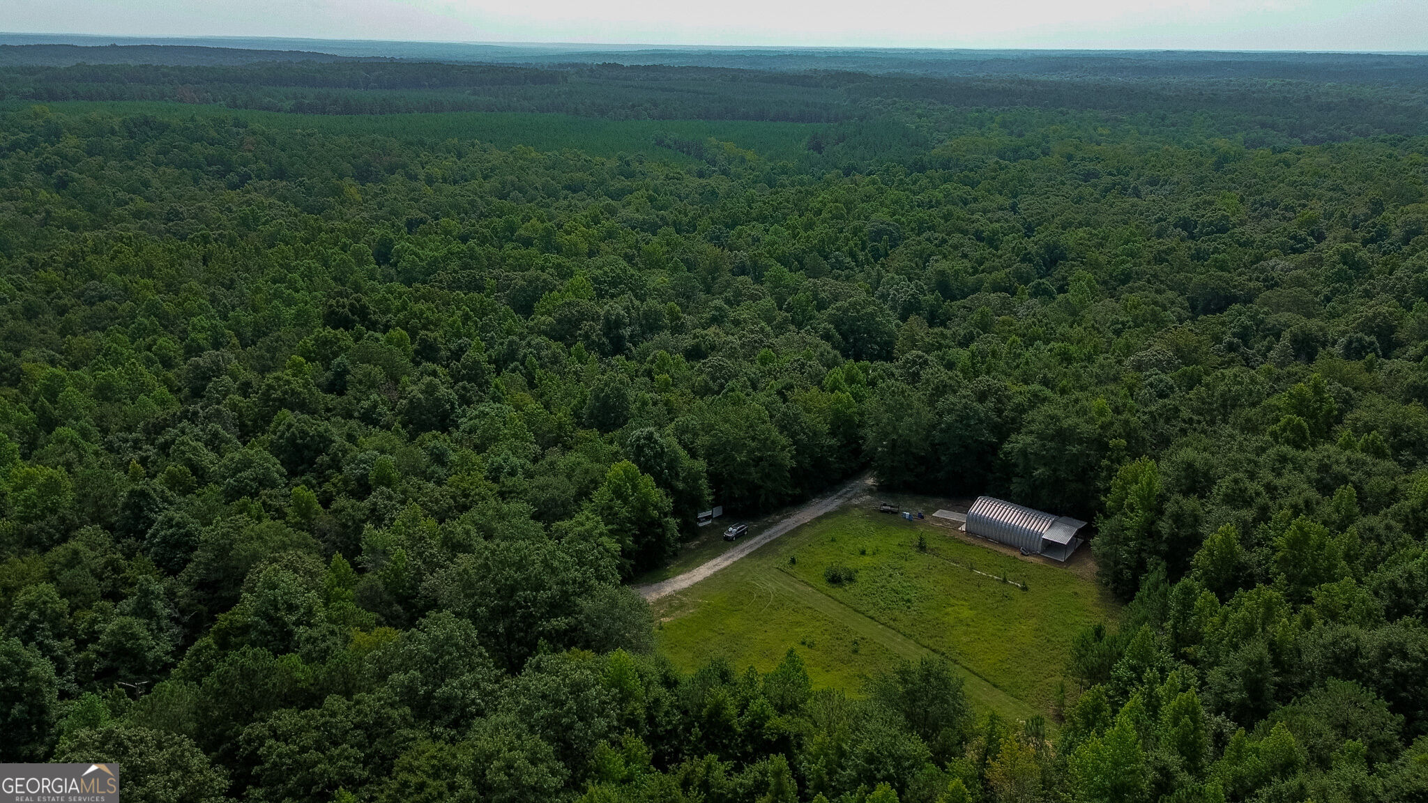 1709 Poplar Ridge Road Ellaville, GA 31806 - Photo 60 of 66 Gallery Image 60