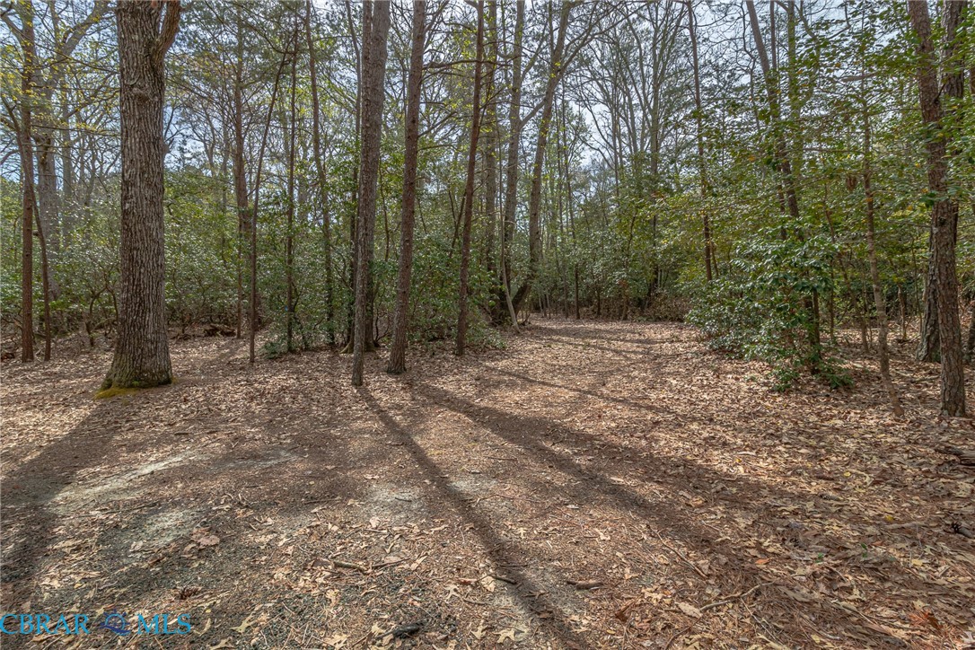 Lot 188 Ottoman Ferry Road Lancaster, VA 22503 - Photo 10 of 17