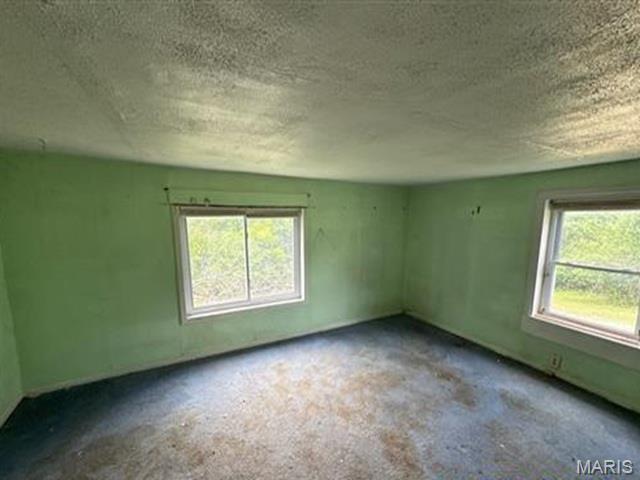 10270 State Rd Bb Hillsboro, MO 63050 - Photo 4 of 9
