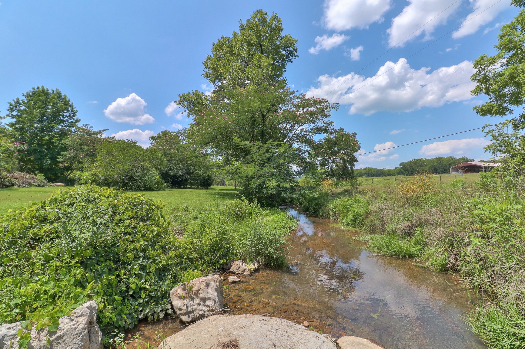 826 Norton's Branch Road Beechgrove, TN 37018 - Photo 50 of 57 Gallery Image 50