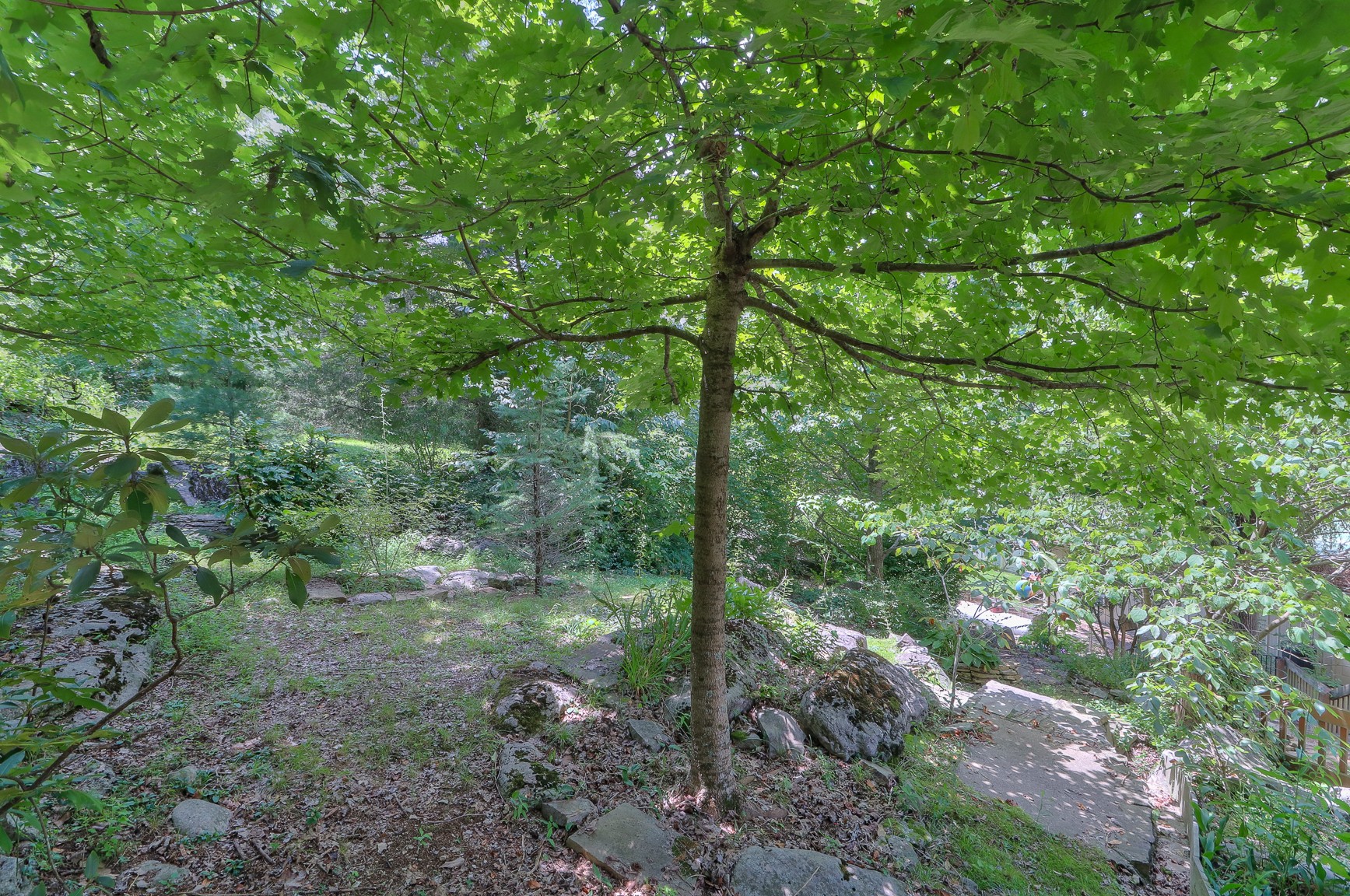 826 Norton's Branch Road Beechgrove, TN 37018 - Photo 56 of 57 Gallery Image 56