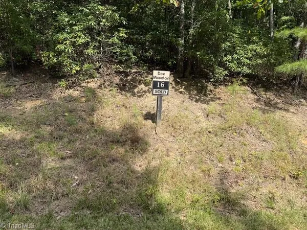 $24,900 | 16 Turkey Trail, McGrady, NC 28649