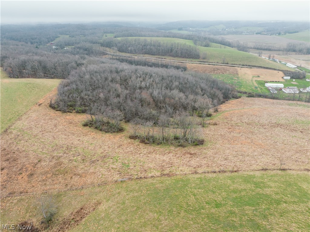 Buck Hill Road Frazeysburg, OH 43822 - Photo 14 of 24